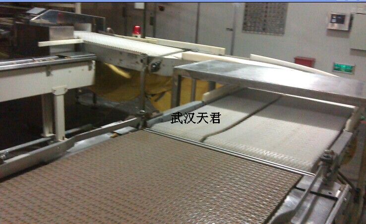 網(wǎng)鏈輸送機(jī)